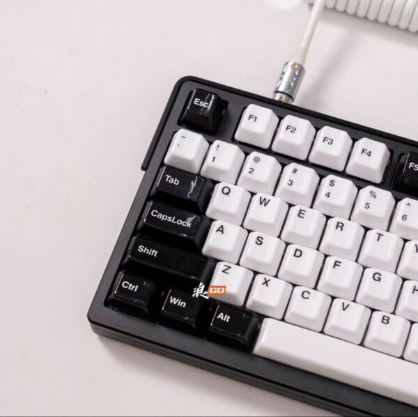 微信图片_20250922144538 ROG Night Demon Extreme Fully Modified Custom Mechanical Keyboard, Black and White Ceramic Finish